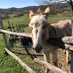 Cascina Coste Κατάλυμα σε φάρμα Roppolo