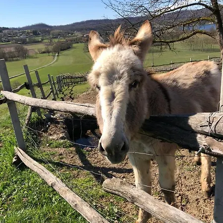 Cascina Coste Farm stay Roppolo