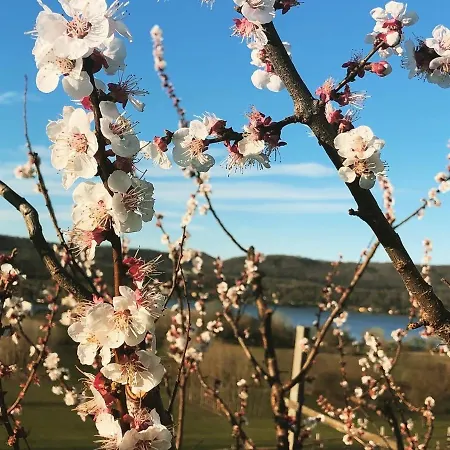 Cascina Coste