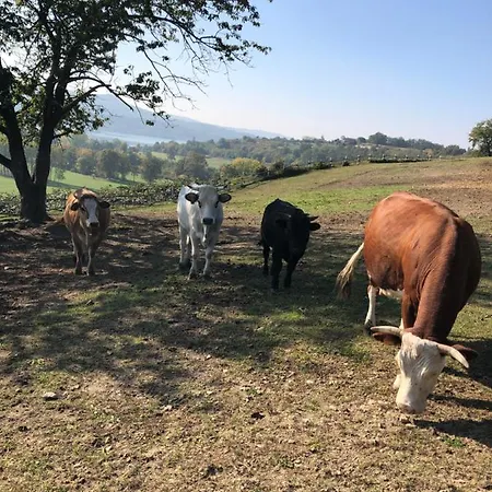 Cascina Coste Farm stay Roppolo