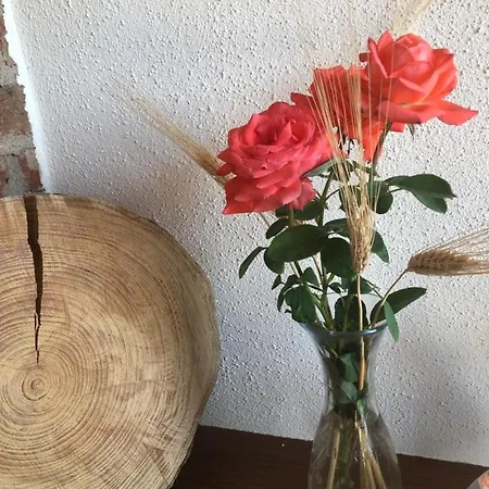 Farm stay Cascina Coste