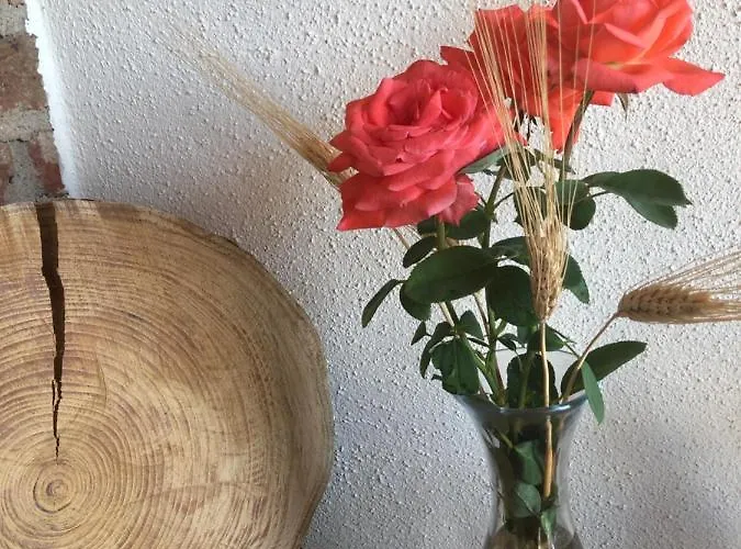 Çiftlik konaklama Cascina Coste